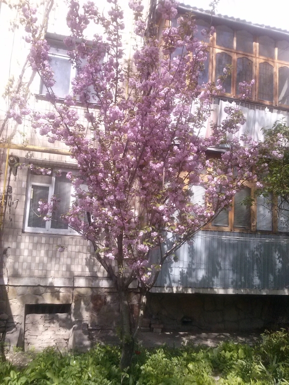 Делюсь теплом весенним:)