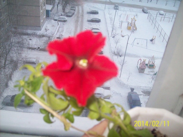 Февраль-февраль