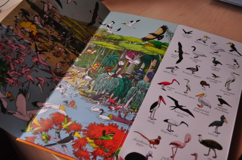 Еще книги.