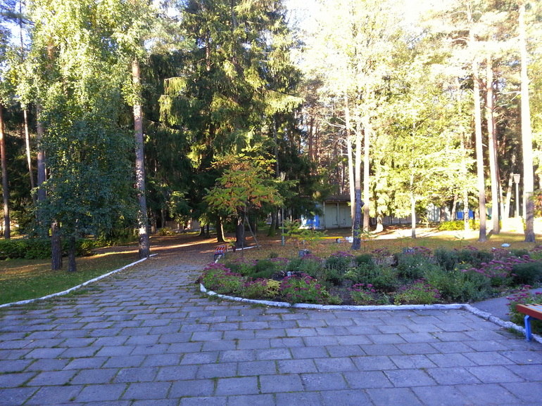 Барановичи. Осень 2013 г
