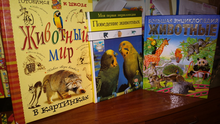 Звери на планете