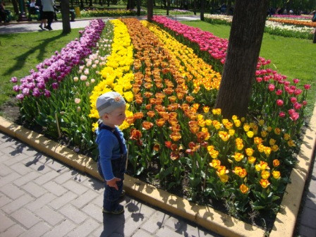Дендропарк цветет