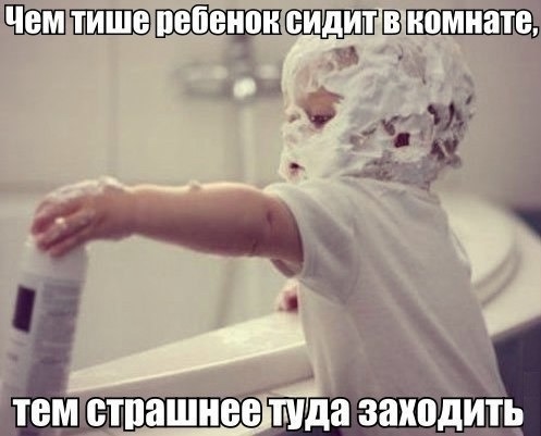 О кошках и не только...