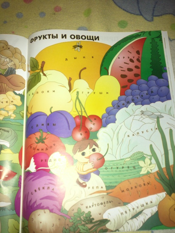 Изучаем географию