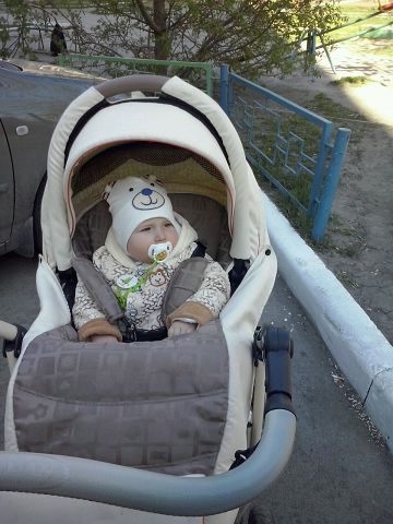 11 мес.