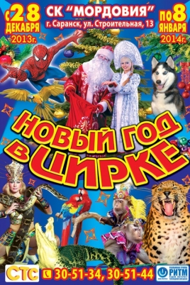 Планы на Новый Год