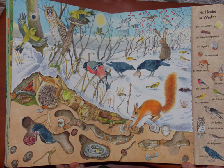 Развороты Mein erstes Wimmelbuch - Hecke und Garten