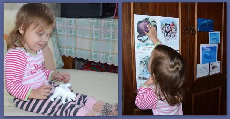 ТН Арктика Антарктика 4 день