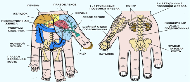 ..мне это всё пригодится в моей борьбе за здоровье моего малыша.
