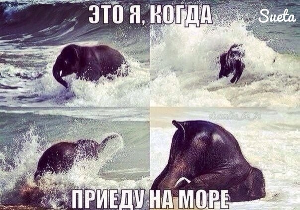 Скорее бы на море!!!