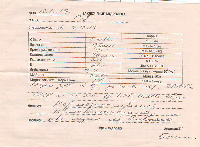 Наша СГ. Составила