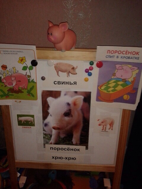 Наши тематические картинки