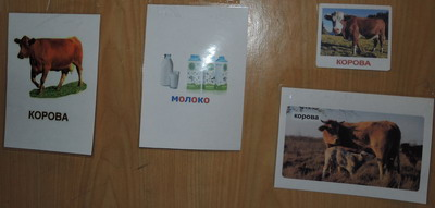 ТН № 14 Корова, молоко, творог. 1г 5м.