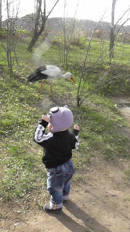 В Бой!