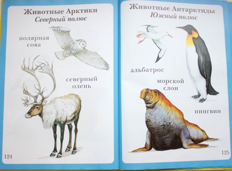 Наши книги до года
