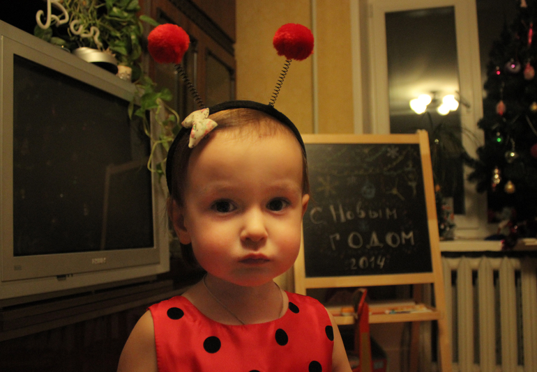 Новый год 2014