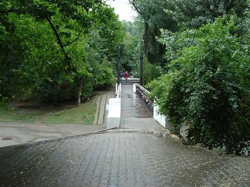 Парк имени Вити Черевичкина