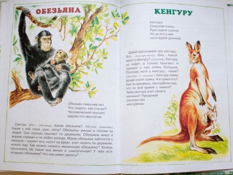 Книги-мечты для развития речи
