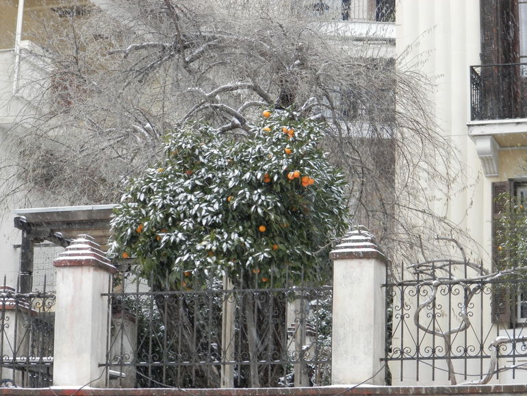 Салоники в снегу