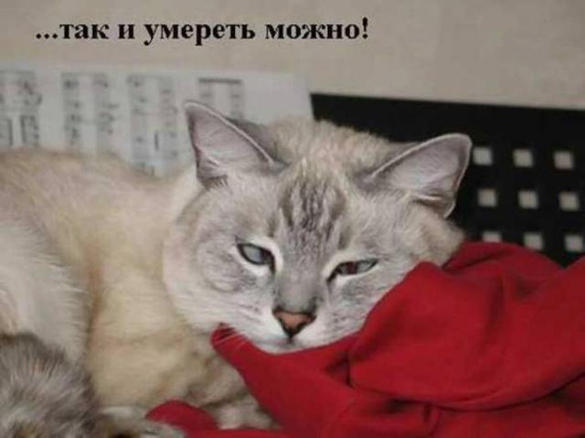 Господи, ну зачем я здесь сегодня???