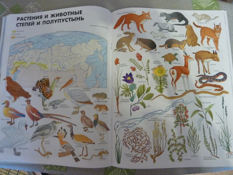 Мой заказик в E5