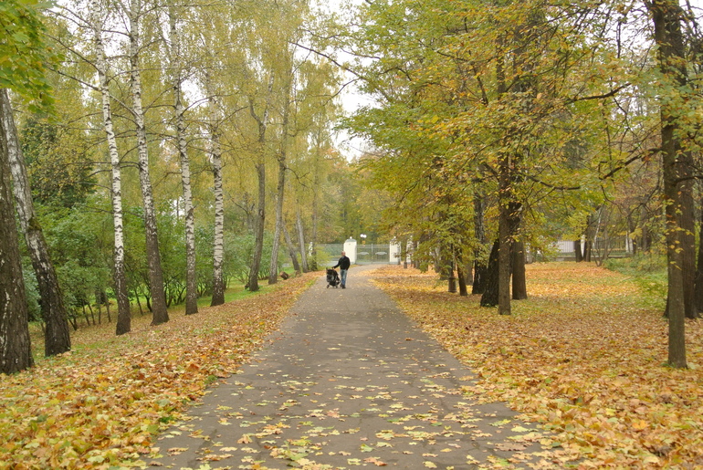 Ленинские горки. Октябрь 2013.