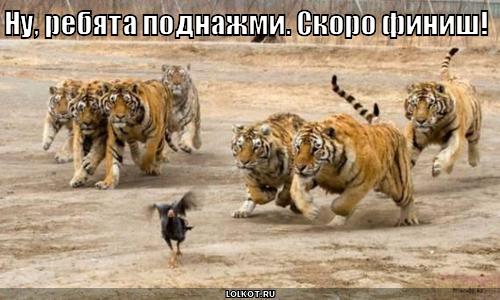 Марафон "8 марта". День 32й.