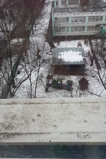 Полезны ли прогулки жителям мегаполиса?