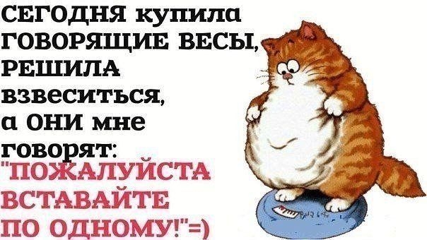 кучка картонок про похуделки