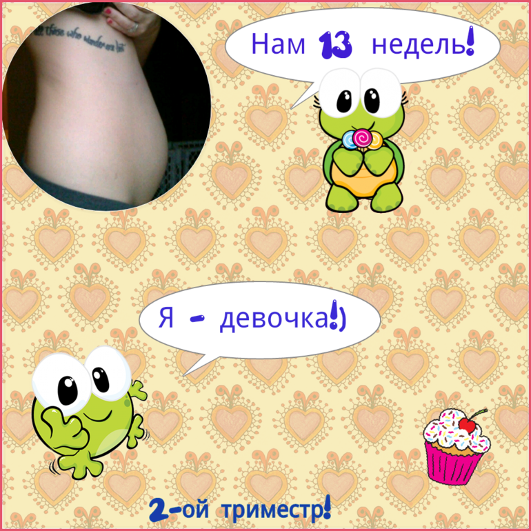 13 недель!