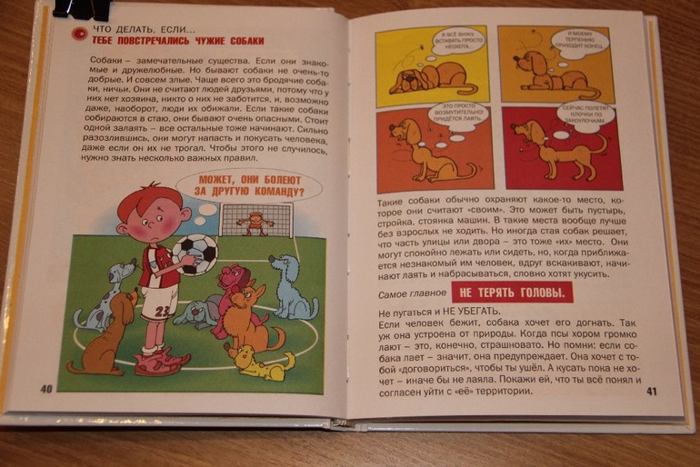 Несколько художественно-познавательных книг для детей