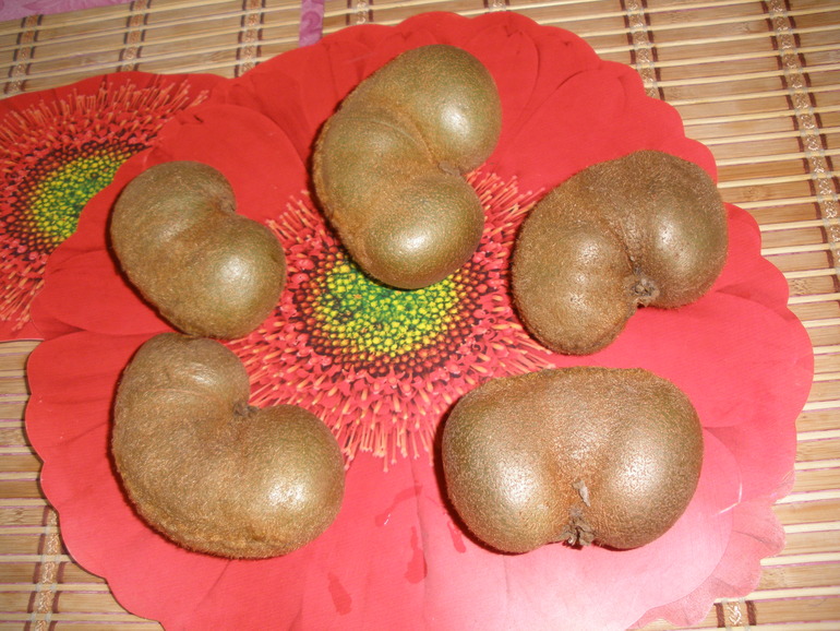 Девченочки, это знак? :)