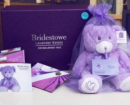 Лавандовый медведь Bridestowe из Австралии
