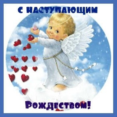 мои милые девочки