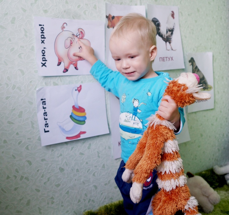 день повятили изучению домашних животных и тех, что живут в деревне)