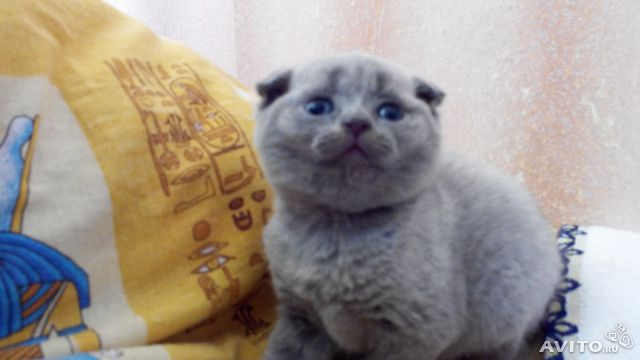 Смотрите)))))