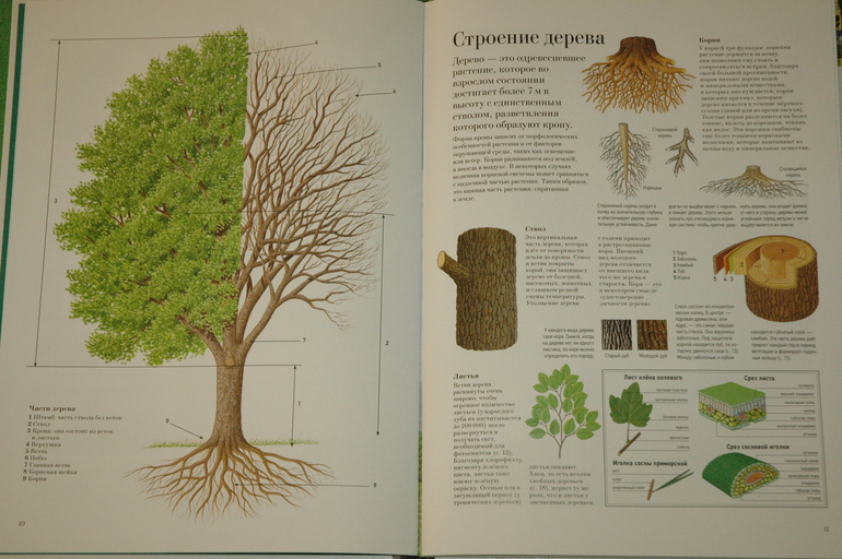 Наше книжное пополнение (Февраль 2014)