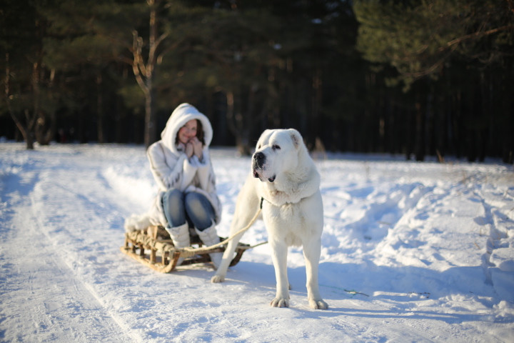 Зимняя фотосессия 2014) Продолжение)
