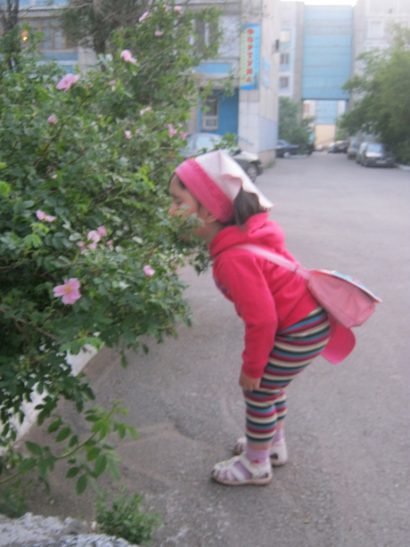 монтессори каждый день - нюхаем:)