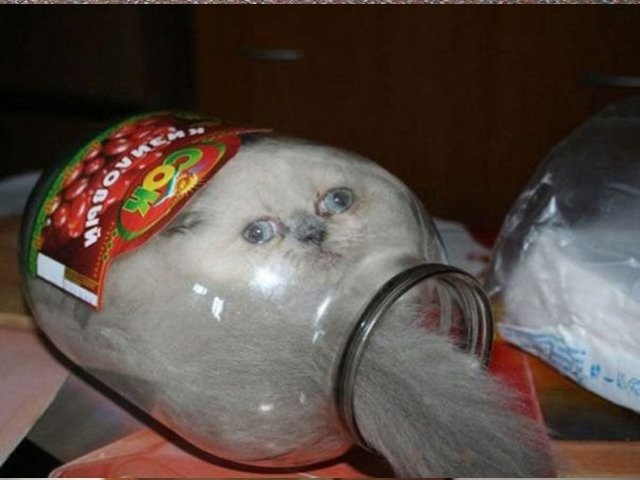 Прелесть)))