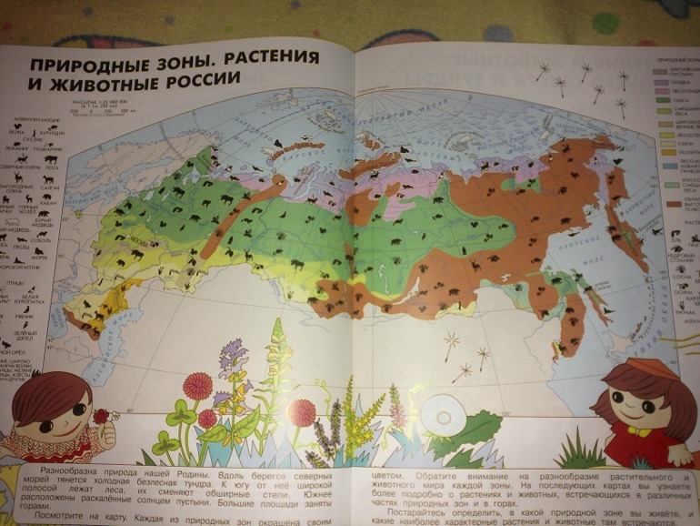 Изучаем географию