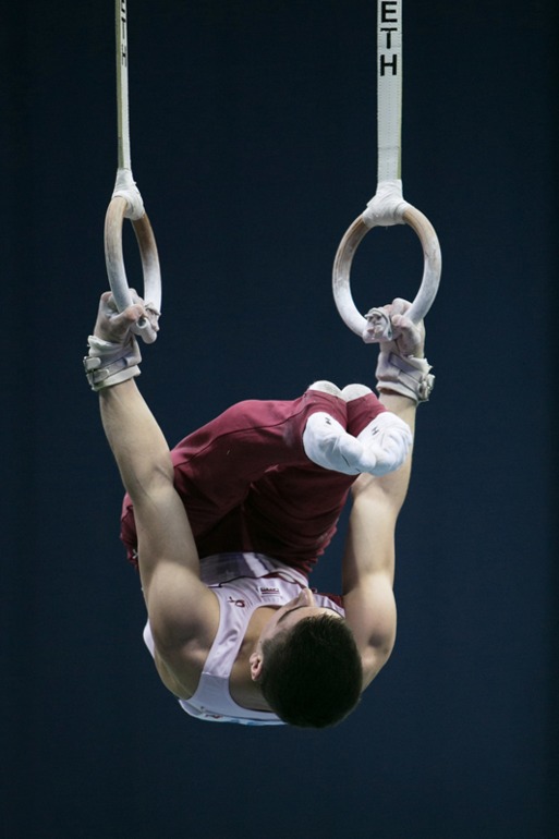 спортивная гимнастика.