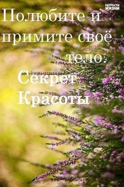 Шесть секретов
