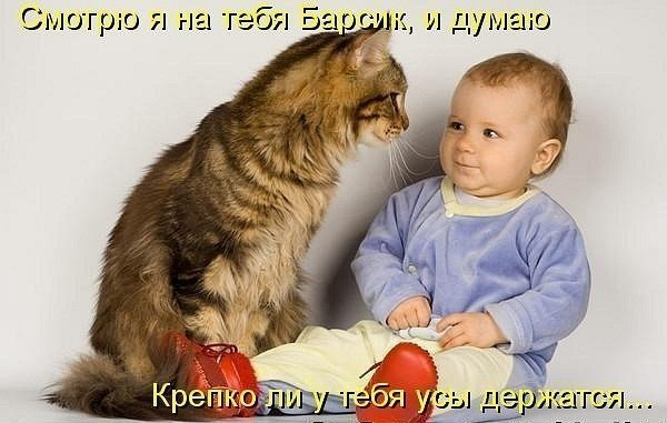 понравились картинки