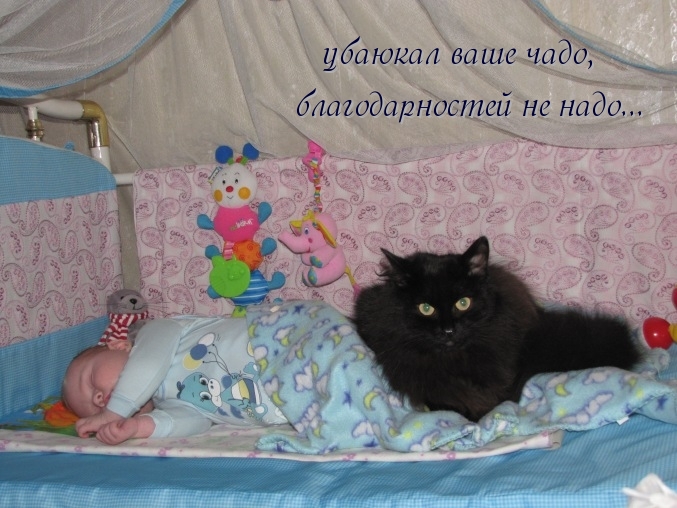 О ребятах и зверятах...