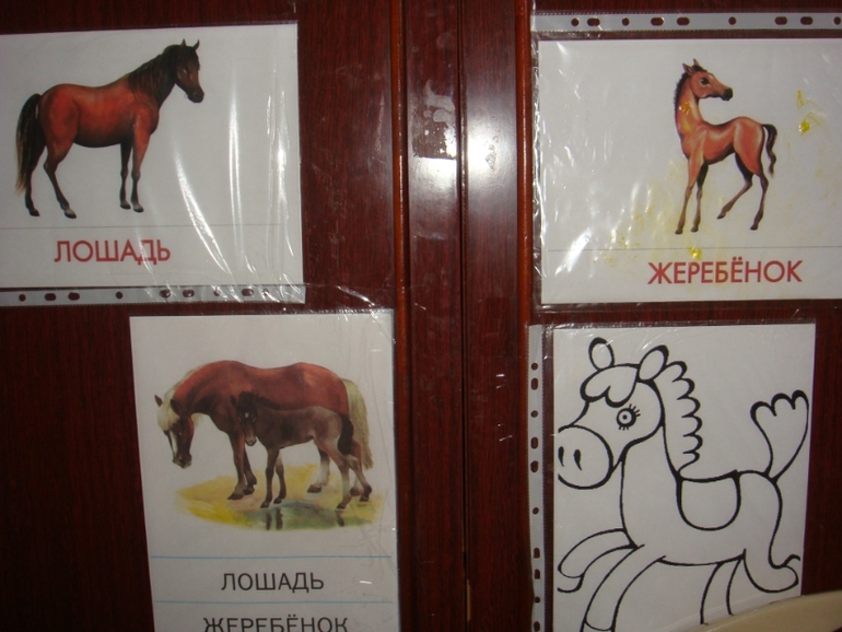 ТЗ. Лошадь.