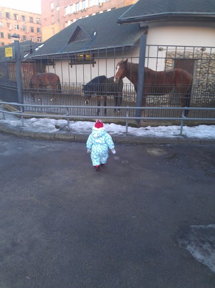 Декабрьский Зоопарк