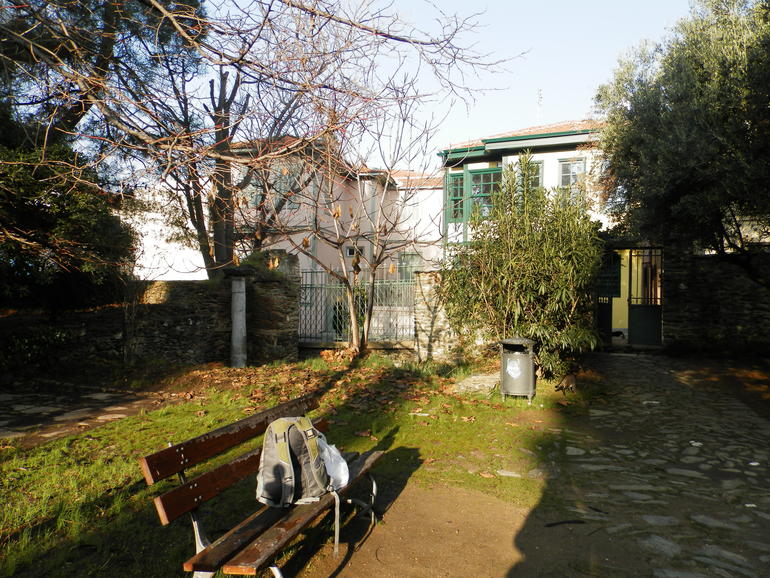 Январские прогулки