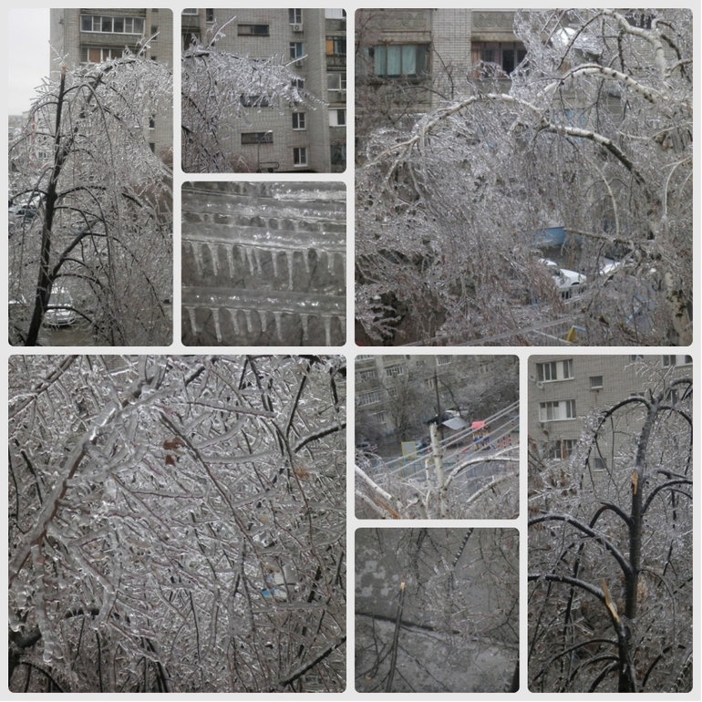 Краснодарский Апокалипсис