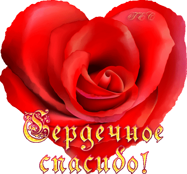 ОТ ВСЕГО СЕРДЦА...